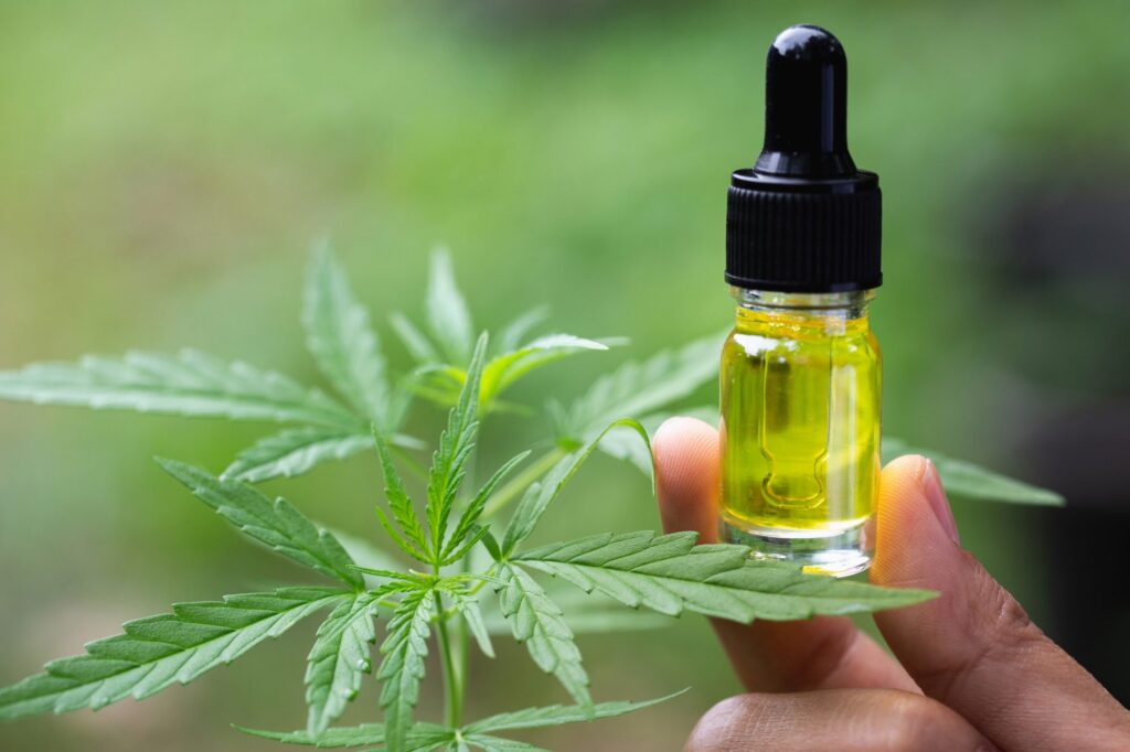 CBD Oil Interacts with the ECS