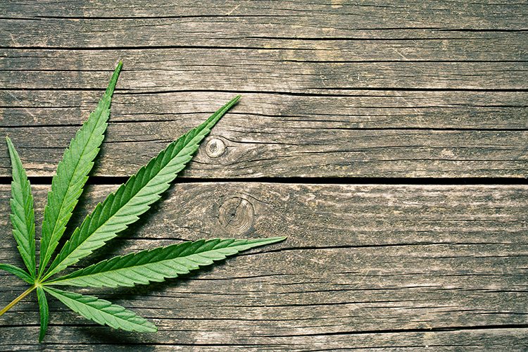 Cannabidiol (Cbd)
