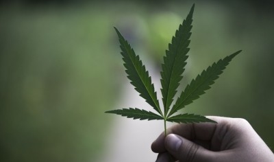 cbd bootcamp1