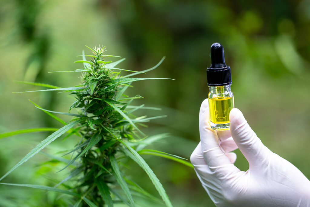 CBD for Epilepsy