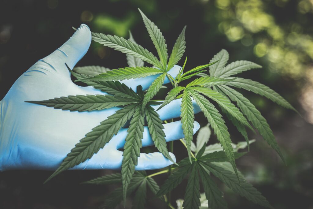 cbd for depression and anxiety