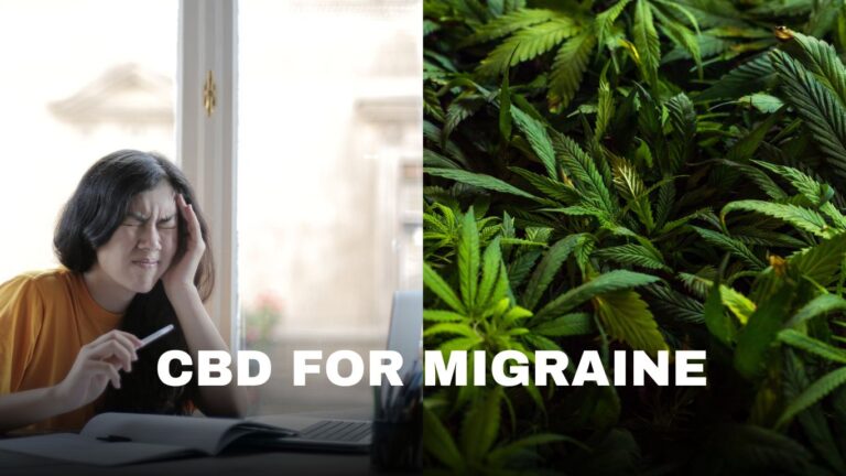 cbd for migraine