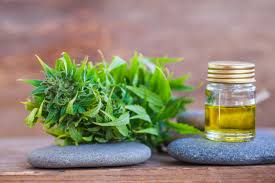 CBD Oil and Relaxation Routines for Kentucky Adults